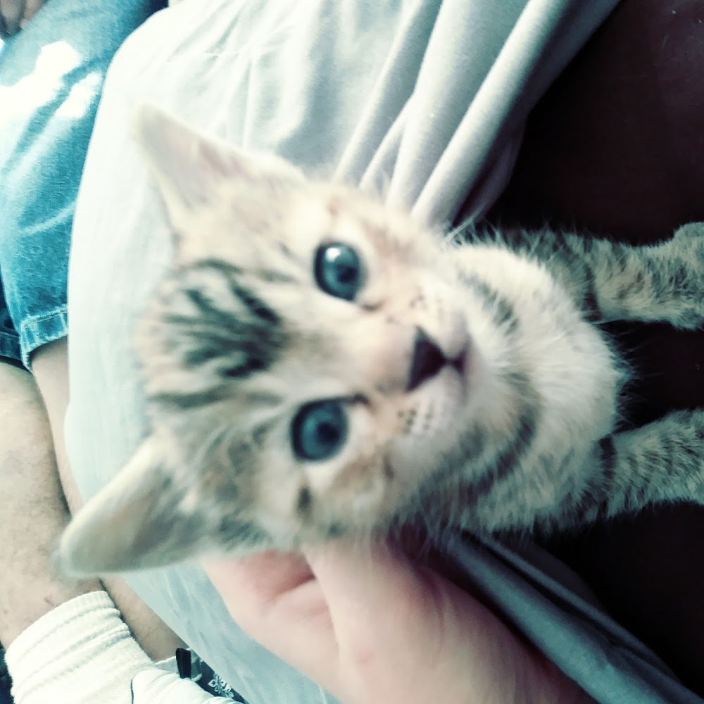 Meet your Posher, K_a_r_m_a·k_i_l_l_z·1_3